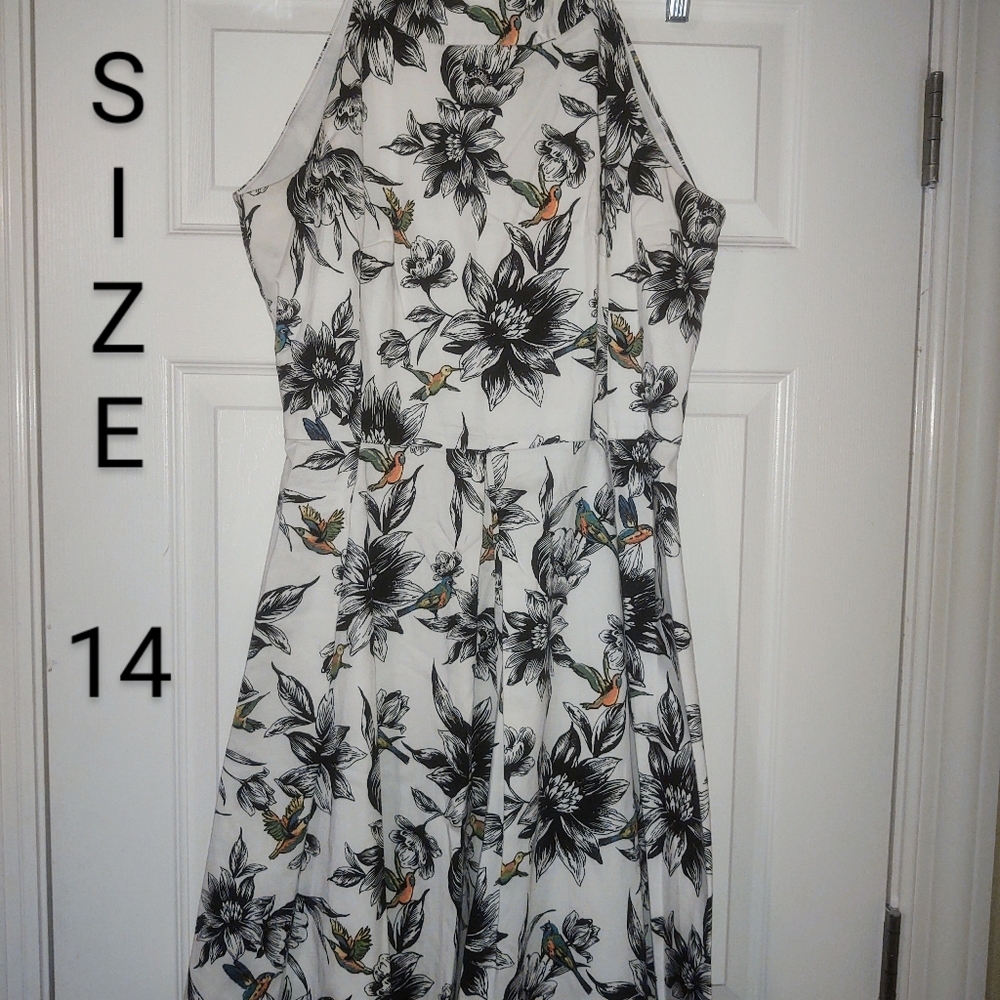 Size 14 cotton sleeveless A-line hummingbird dress